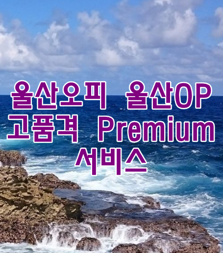 울산오피 울산OP 고품격 Premium 서비스